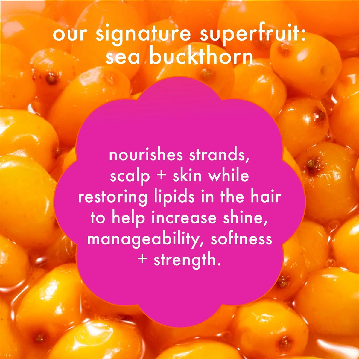 the kure strength repair conditioner - 9.2 oz / 275 ml